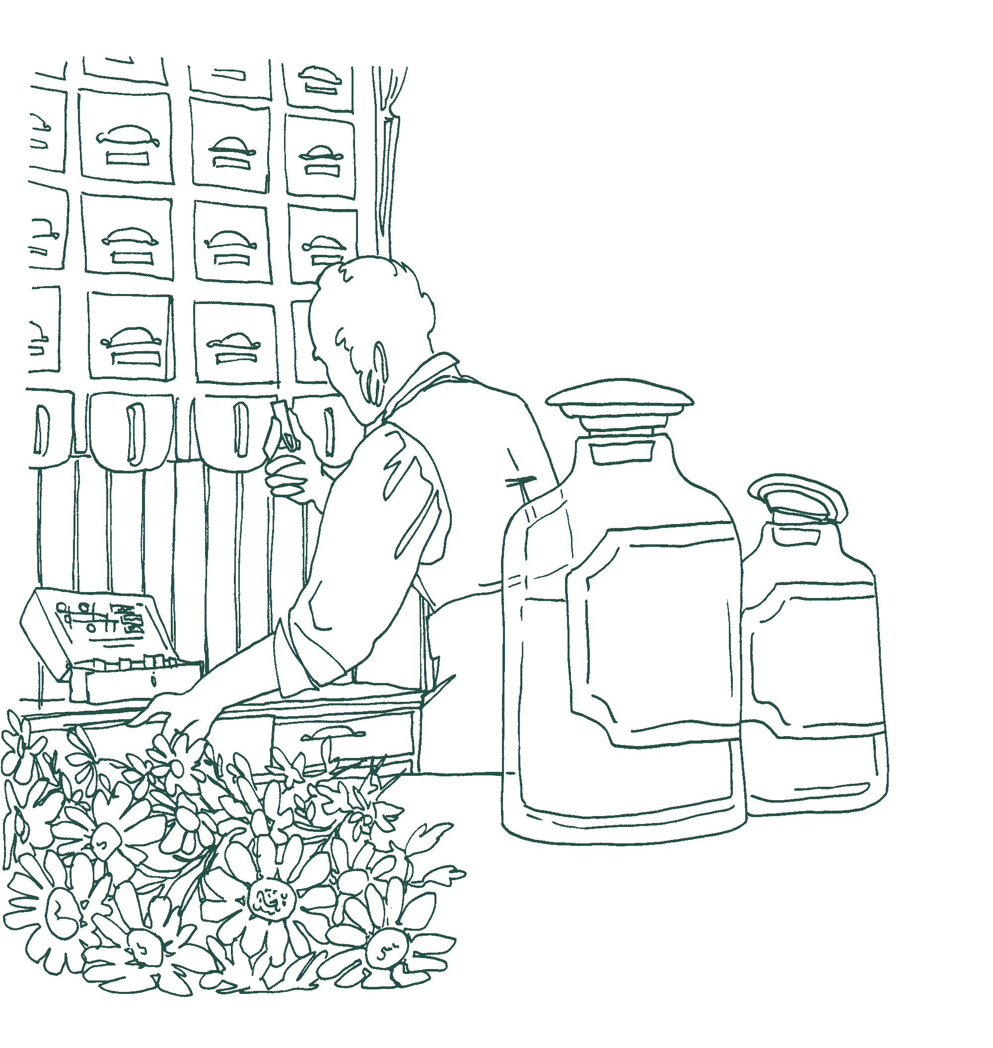 Lineart-Illustration, die einen Mann vor einem Apothekerschrank zeigt, der eine Philo ansieht, im Vordergrund Kamille und zwei Flaschen.